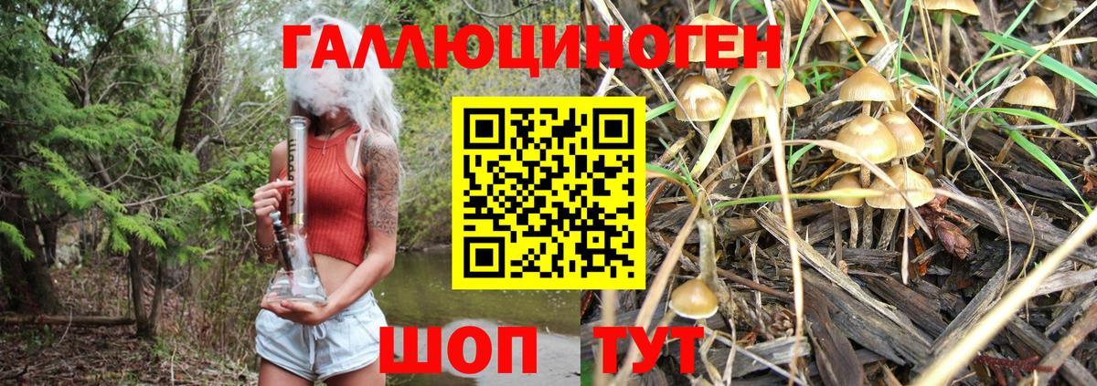 Галлюциногенные грибы Magic Shrooms  Вход с VPN  Галлюциногенные грибы Cubensis  купить закладку  Алушта 